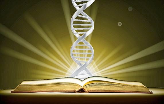 Библия и наука: противоречие или единство?